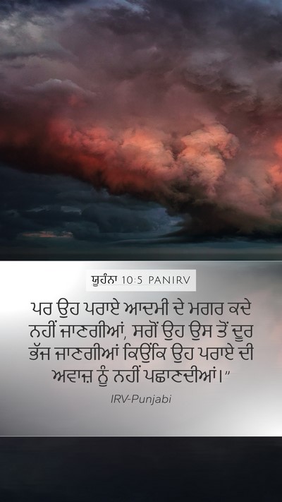 ਯੂਹੰਨਾ 10:5 PANIRV Bible Verse Image