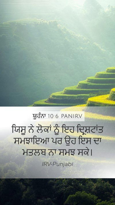 ਯੂਹੰਨਾ 10:6 PANIRV Bible Verse Image
