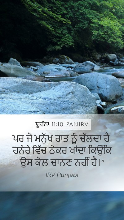 ਯੂਹੰਨਾ 11:10 PANIRV Bible Verse Image