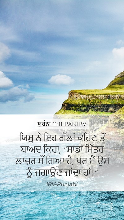 ਯੂਹੰਨਾ 11:11 PANIRV Bible Verse Image