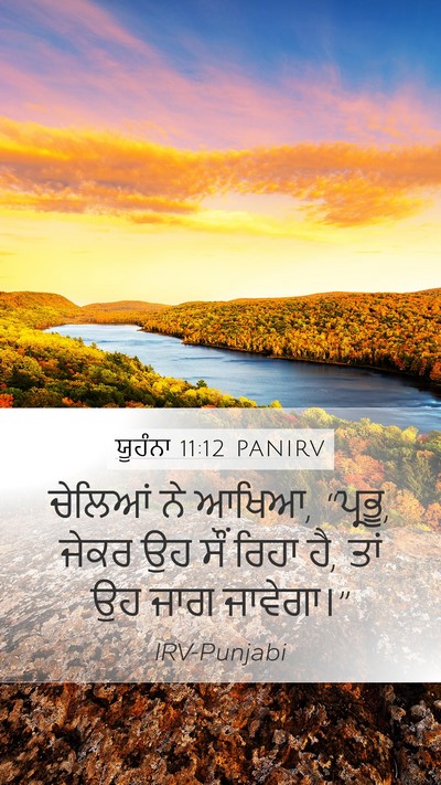 ਯੂਹੰਨਾ 11:12 PANIRV Mobile Phone Wallpaper - ਚੇਲਿਆਂ ਨੇ ਆਖਿਆ, - Mobile Bible Verse Wallpaper