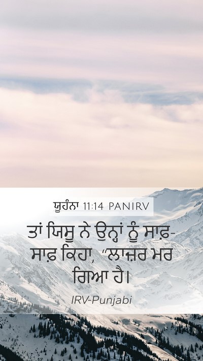 ਯੂਹੰਨਾ 11:14 PANIRV Bible Verse Image