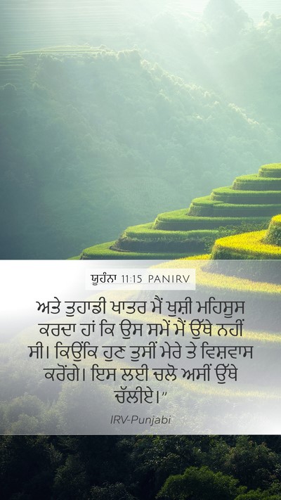 ਯੂਹੰਨਾ 11:15 PANIRV Bible Verse Image