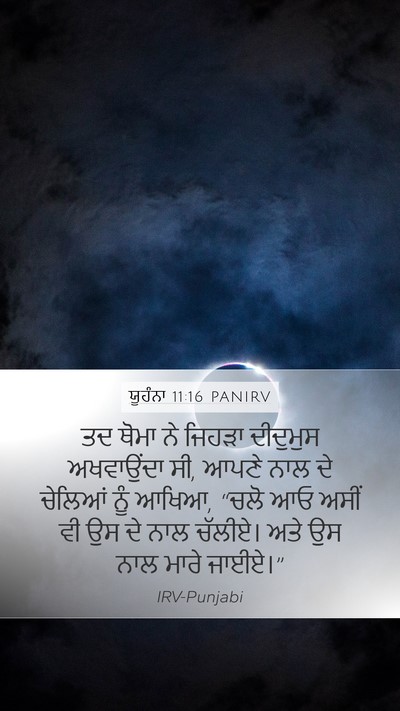 ਯੂਹੰਨਾ 11:16 PANIRV Bible Verse Image