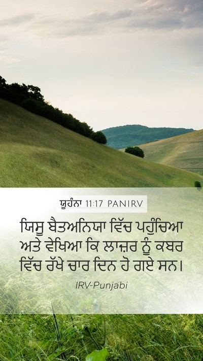 ਯੂਹੰਨਾ 11:17 PANIRV Bible Verse Image