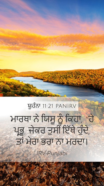ਯੂਹੰਨਾ 11:21 PANIRV Bible Verse Image