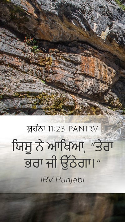 ਯੂਹੰਨਾ 11:23 PANIRV Bible Verse Image