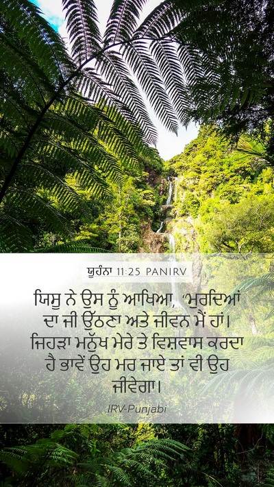 ਯੂਹੰਨਾ 11:25 PANIRV Bible Verse Image
