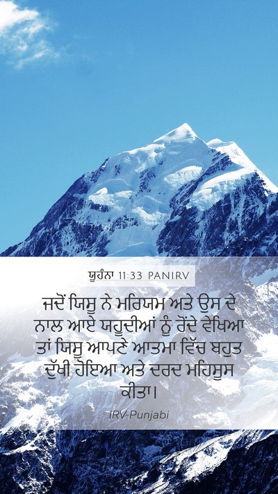 ਯੂਹੰਨਾ 11:33 PANIRV Bible Verse Image