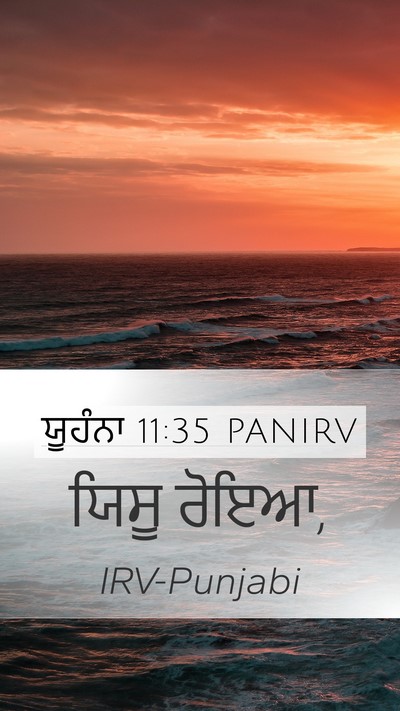 ਯੂਹੰਨਾ 11:35 PANIRV Bible Verse Image