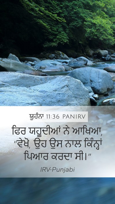 ਯੂਹੰਨਾ 11:36 PANIRV Bible Verse Image
