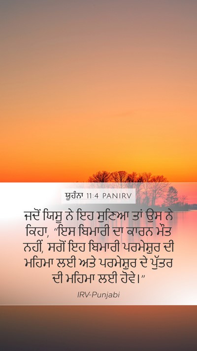ਯੂਹੰਨਾ 11:4 PANIRV Bible Verse Image