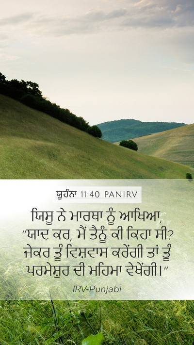 ਯੂਹੰਨਾ 11:40 PANIRV Bible Verse Image