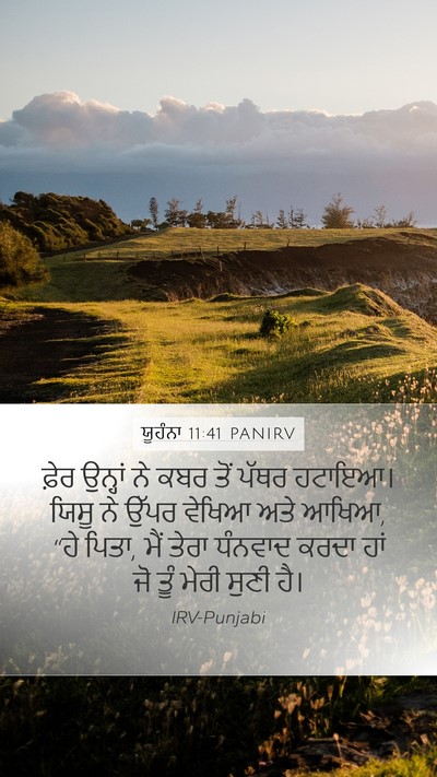 ਯੂਹੰਨਾ 11:41 PANIRV Bible Verse Image