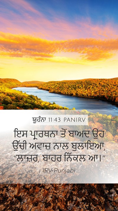 ਯੂਹੰਨਾ 11:43 PANIRV Bible Verse Image