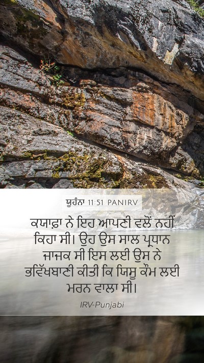 ਯੂਹੰਨਾ 11:51 PANIRV Bible Verse Image