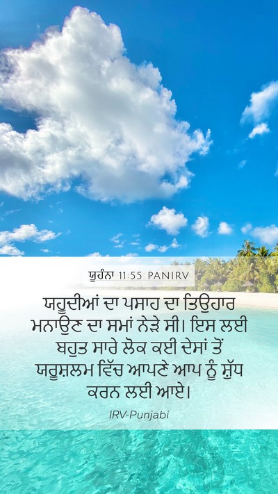 ਯੂਹੰਨਾ 11:55 PANIRV Bible Verse Image
