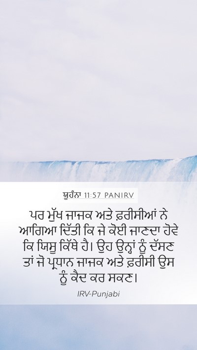 ਯੂਹੰਨਾ 11:57 PANIRV Bible Verse Image