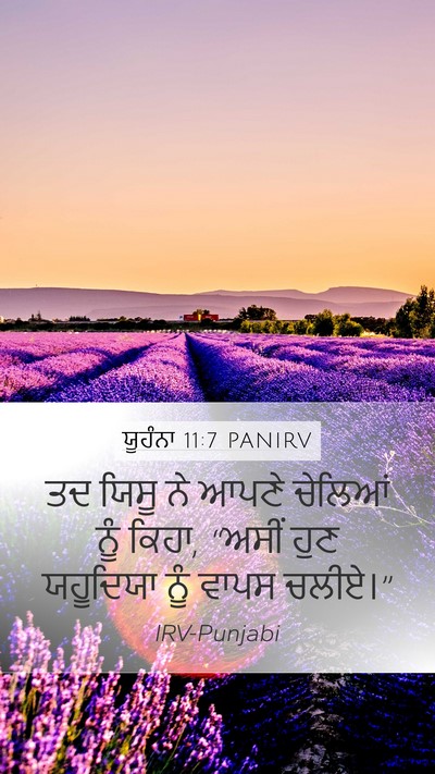 ਯੂਹੰਨਾ 11:7 PANIRV Bible Verse Image