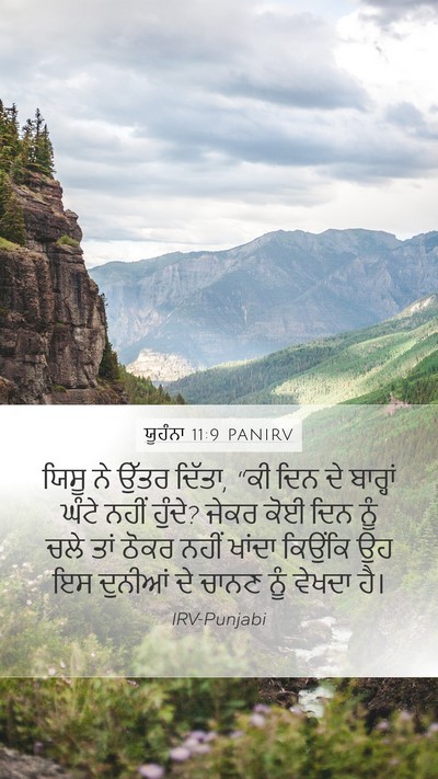 ਯੂਹੰਨਾ 11:9 PANIRV Bible Verse Image
