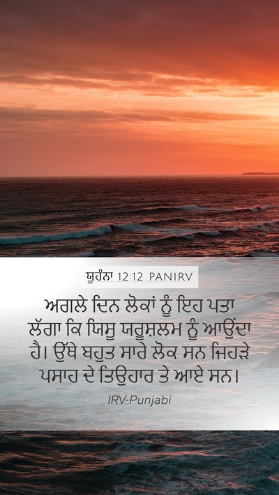 ਯੂਹੰਨਾ 12:12 PANIRV Bible Verse Image