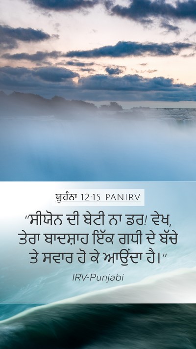 ਯੂਹੰਨਾ 12:15 PANIRV Bible Verse Image
