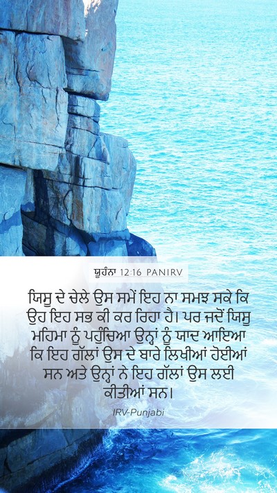 ਯੂਹੰਨਾ 12:16 PANIRV Bible Verse Image