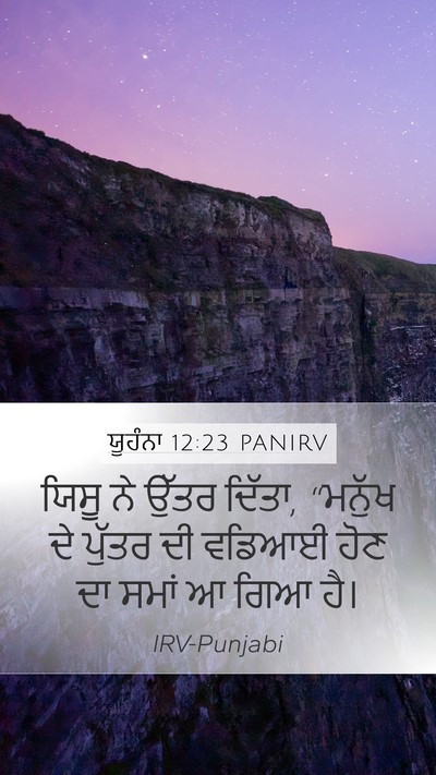 ਯੂਹੰਨਾ 12:23 PANIRV Bible Verse Image