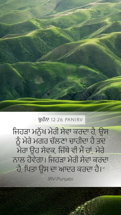 ਯੂਹੰਨਾ 12:26 PANIRV Bible Verse Image