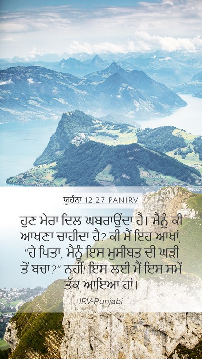 ਯੂਹੰਨਾ 12:27 PANIRV Bible Verse Image