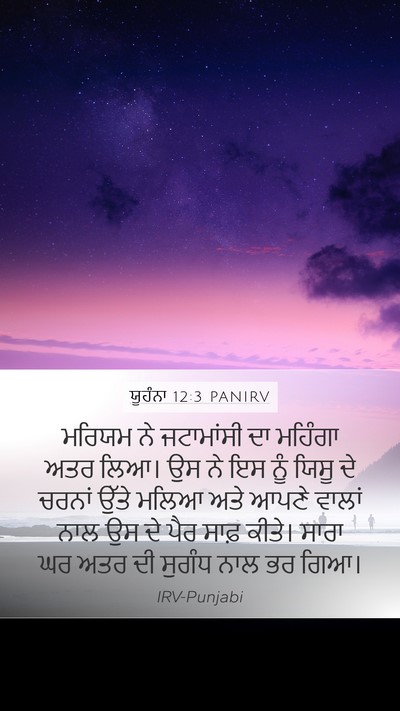 ਯੂਹੰਨਾ 12:3 PANIRV Bible Verse Image