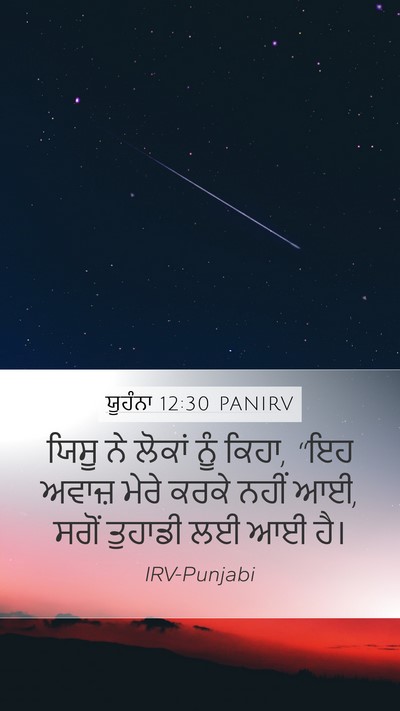 ਯੂਹੰਨਾ 12:30 PANIRV Bible Verse Image