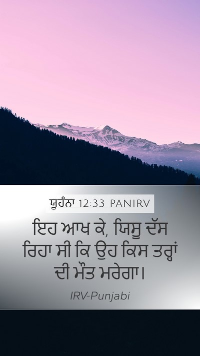 ਯੂਹੰਨਾ 12:33 PANIRV Bible Verse Image