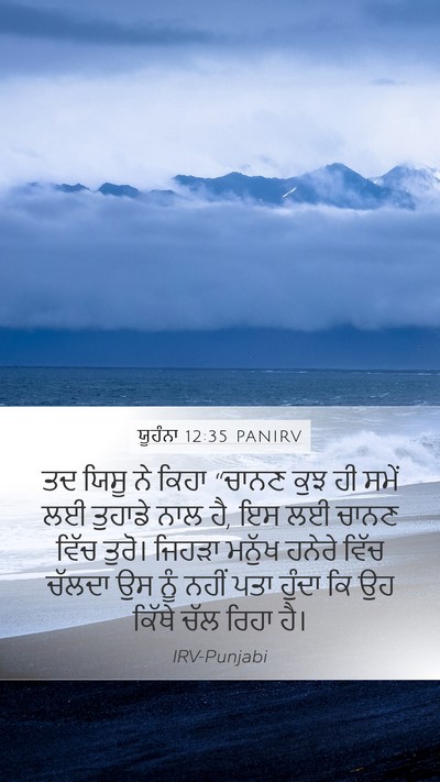 ਯੂਹੰਨਾ 12:35 PANIRV Bible Verse Image