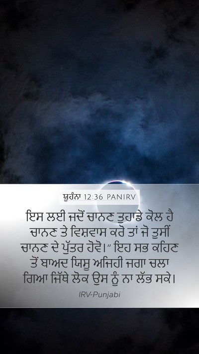 ਯੂਹੰਨਾ 12:36 PANIRV Bible Verse Image