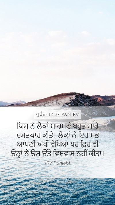 ਯੂਹੰਨਾ 12:37 PANIRV Bible Verse Image