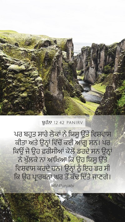 ਯੂਹੰਨਾ 12:42 PANIRV Bible Verse Image