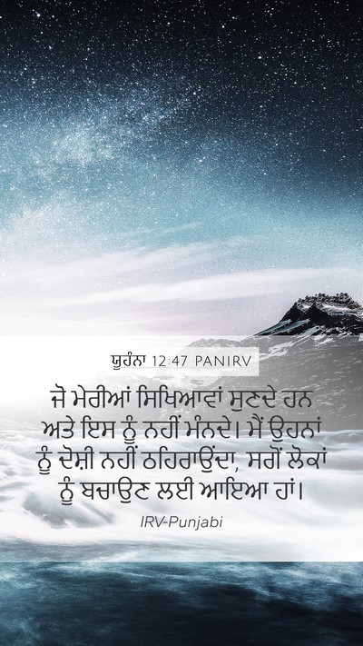 ਯੂਹੰਨਾ 12:47 PANIRV Bible Verse Image
