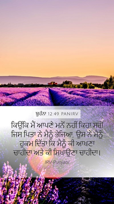 ਯੂਹੰਨਾ 12:49 PANIRV Bible Verse Image