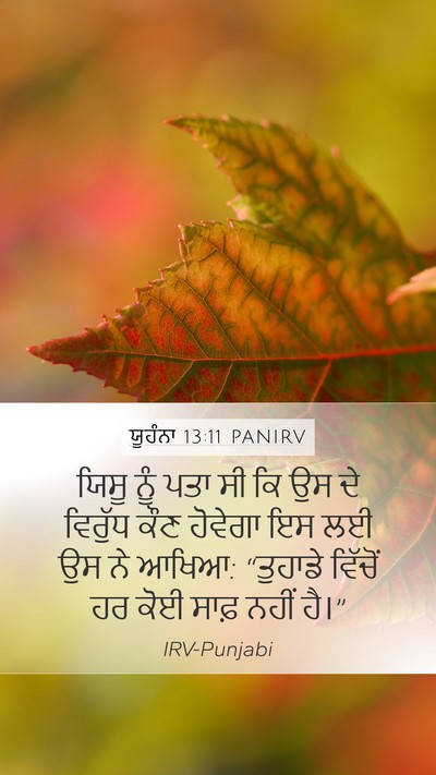 ਯੂਹੰਨਾ 13:11 PANIRV Bible Verse Image