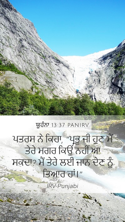 ਯੂਹੰਨਾ 13:37 PANIRV Bible Verse Image