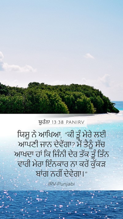 ਯੂਹੰਨਾ 13:38 PANIRV Bible Verse Image