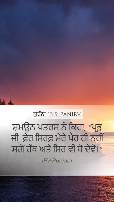 ਯੂਹੰਨਾ 13:9 PANIRV Mobile Phone Wallpaper - ਸ਼ਮਊਨ ਪਤਰਸ ਨੇ ਕਿਹਾ, - Mobile Bible Verse Wallpaper