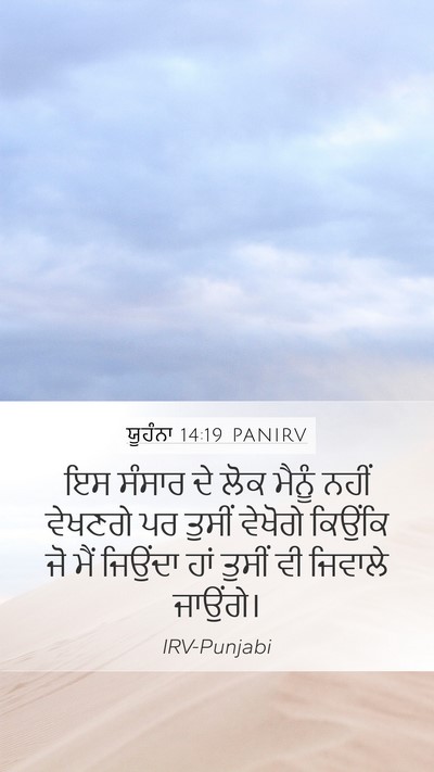 ਯੂਹੰਨਾ 14:19 PANIRV Bible Verse Image