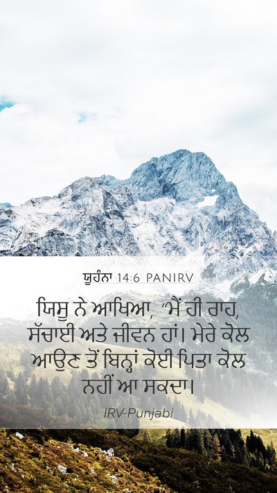 ਯੂਹੰਨਾ 14:6 PANIRV Bible Verse Image