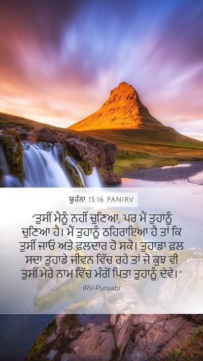 ਯੂਹੰਨਾ 15:16 PANIRV Bible Verse Image