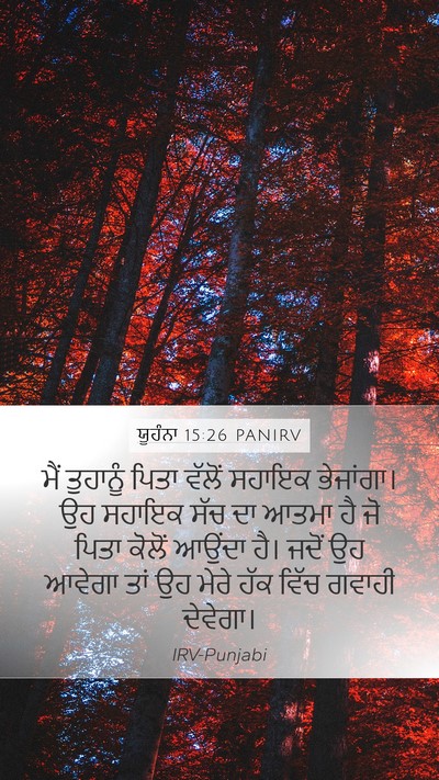 ਯੂਹੰਨਾ 15:26 PANIRV Bible Verse Image