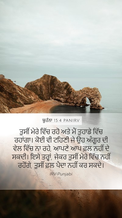 ਯੂਹੰਨਾ 15:4 PANIRV Bible Verse Image