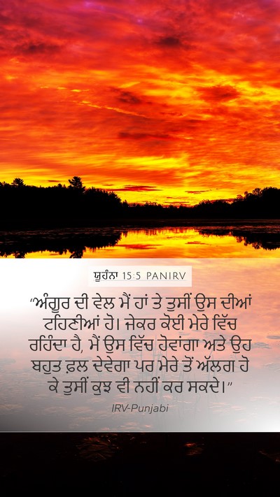ਯੂਹੰਨਾ 15:5 PANIRV Bible Verse Image