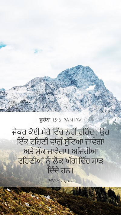 ਯੂਹੰਨਾ 15:6 PANIRV Mobile Phone Wallpaper - ਜੇਕਰ ਕੋਈ ਮੇਰੇ ਵਿੱਚ - Mobile Bible Verse Wallpaper